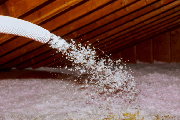 Best Commercial Insulation in Nanakuli, HI