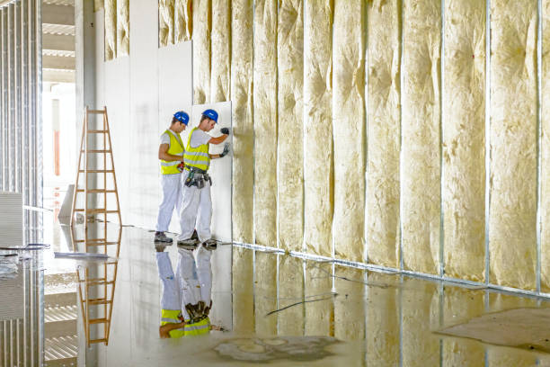 Best Blown-in Insulation in Nanakuli, HI